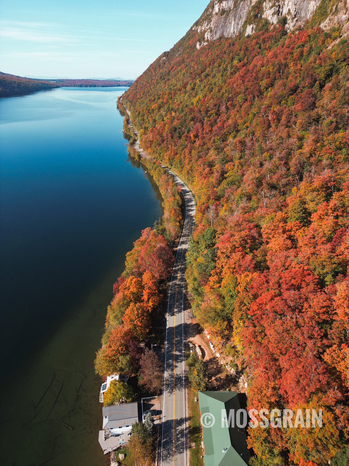 Falling Into Stillness — Autumn Forest