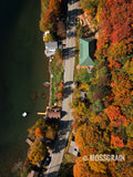 The Turning — Autumn in Vermont