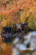 Where the Maples Meet the Lake — Vermont Foliage